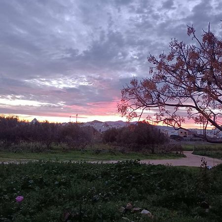 Ktima Dimitrios Villa Naxos City Bagian luar foto
