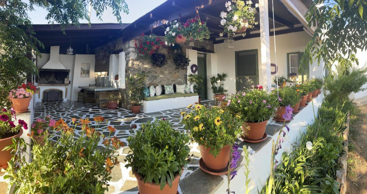 Ktima Dimitrios Villa Naxos City Bagian luar foto