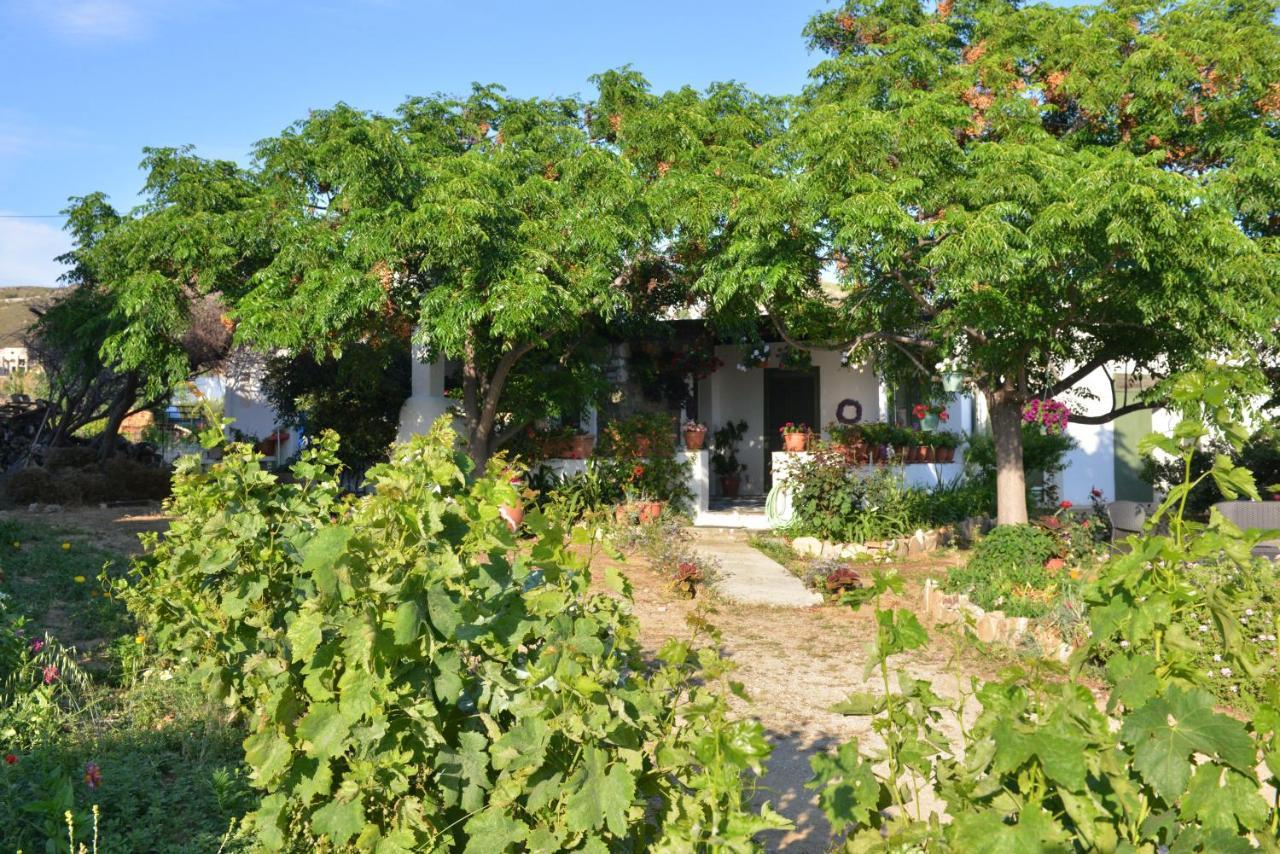 Ktima Dimitrios Villa Naxos City Bagian luar foto