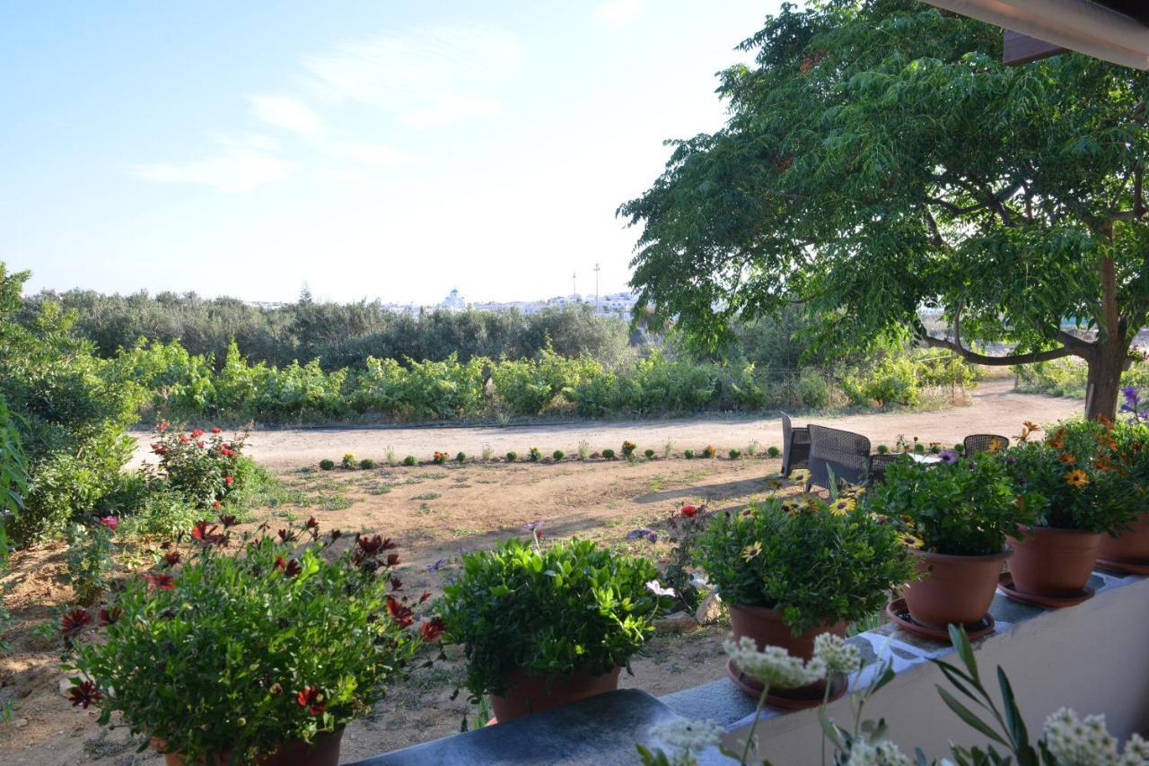Ktima Dimitrios Villa Naxos City Bagian luar foto