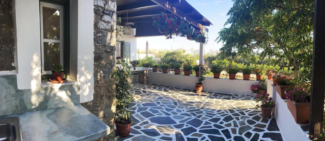 Ktima Dimitrios Villa Naxos City Bagian luar foto