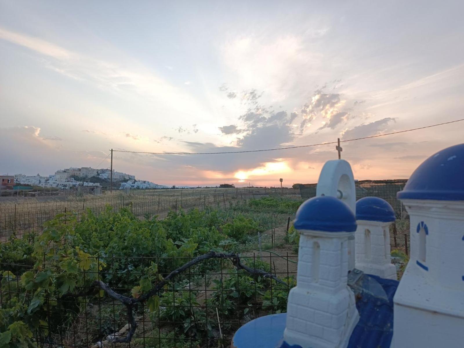 Ktima Dimitrios Villa Naxos City Bagian luar foto