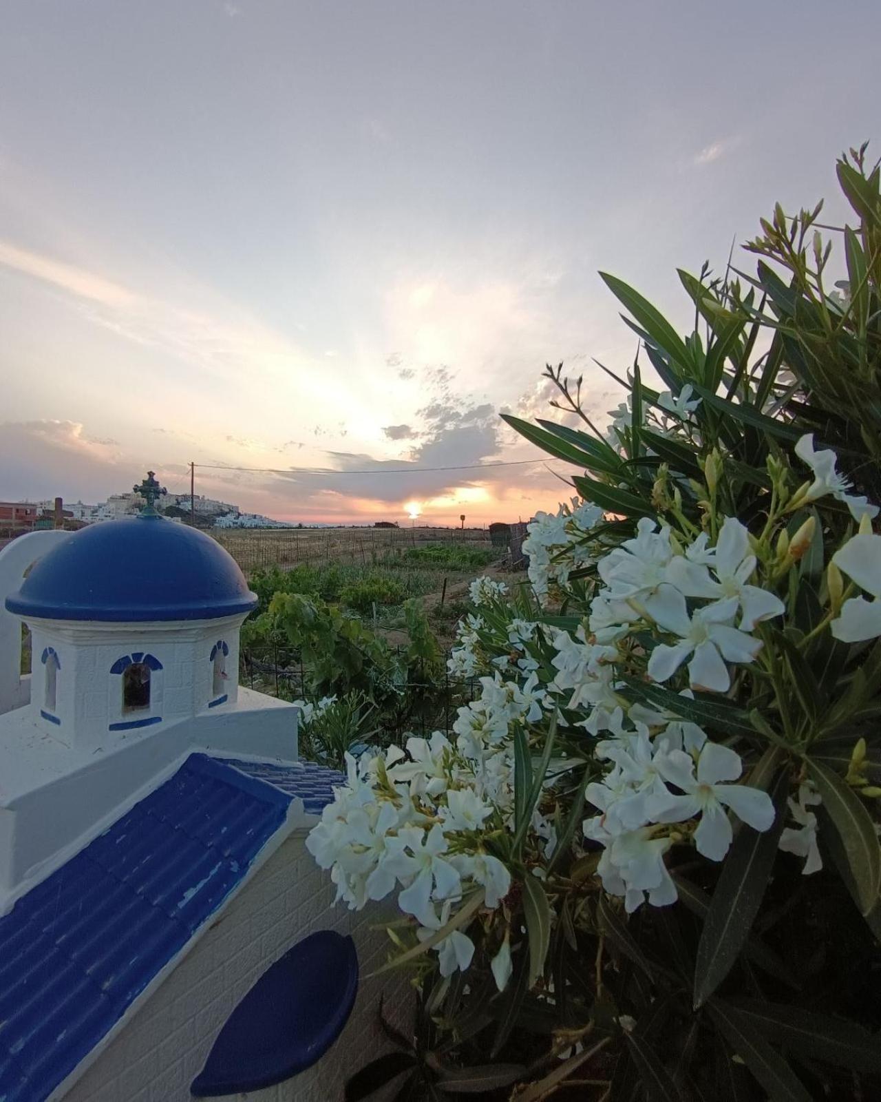 Ktima Dimitrios Villa Naxos City Bagian luar foto